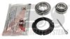 OPEL 1603025 Wheel Bearing Kit